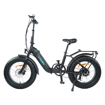 OEM Folding Mountain ebike 20*4.0inch electric bicycle 750W fat tire electric mountain bicycles - Daywins