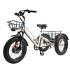 MG1703 Electric Fat Tricycle